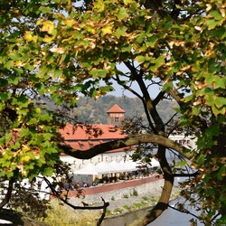 2018-10 Prague/City center/DSC_5975.JPG